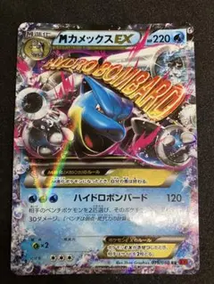 MカメックスEX RR XY1 コレクションY 015/060