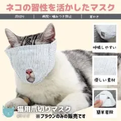 Item thumbnail for item 206fe6c0-24bb-488a-8453-d18e953d21da