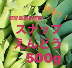 鹿児島県指宿産スナップえんどう