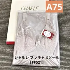 Item thumbnail for item adf8cd28-bcfa-4f1d-b847-065c333aa980