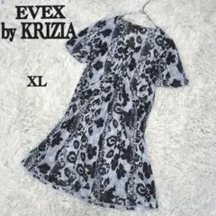 EVEXbyKRIZIA エヴェックスバイクリツィア　半袖シアーチュニック