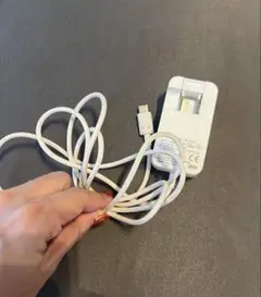 au タイプC 急速充電器　0602PQA