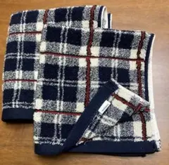 Item thumbnail for item 021ffb92-3a4e-4dd5-85b0-cd3f4b06273b