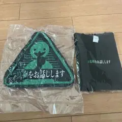 #真相をお話しします　クッションとtシャツ(Lサイズ)