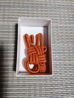 Item thumbnail for item 7875f59c-413e-4c84-8706-063567c200c9