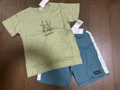新品タグ付き★プティマイン★昆虫Tシャツとハーフパンツ2点セット
