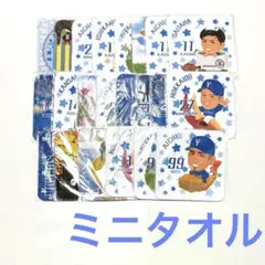 横浜DeNAベイスターズ ミニタオル セット
