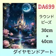 DA699♡ダイヤモンドアートキット♡月夜の薔薇城