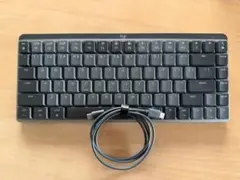 KX850MSG MX MECHANICAL MINI for Mac US配列