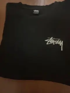 STUSSY Tシャツ