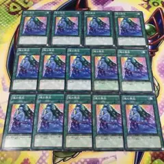 16625 魂の解放 14枚 ノーマル