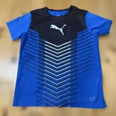 Puma ストライプ Tシャツ 青/黒150サイズ