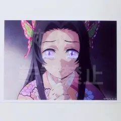 鬼滅の刃　無限城編　胡蝶しのぶの追憶ブロマイド カナエ