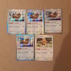ビーダル 5枚セット