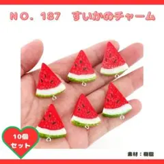 NO.187 スイカのチャーム 10個セット♡