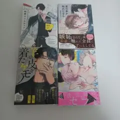 BL 漫画 まとめ売り ⑤