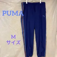 Item thumbnail for item a369bb6b-d3f9-465a-9665-8d3aecec3fbb