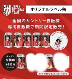 男子バレー　ステッカーのみ一枚千円