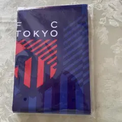 FC東京　レジャーシート