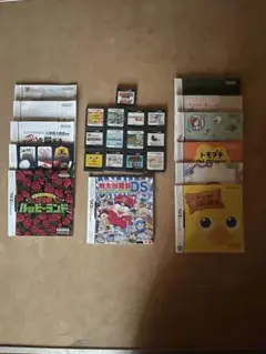 ニンテンドーDSソフトセット