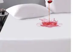 Item thumbnail for item 570efd00-264d-4bf9-ae0f-190840550d71