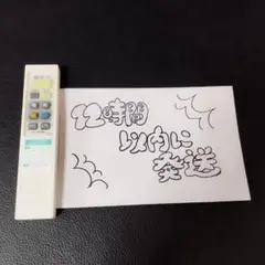 995　IRIS OHYAMA 照明用リモコン CL-RS2　動確清掃済み