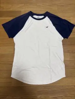 Hollister Most Luxe Collection Tシャツ