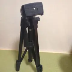 Item thumbnail for item 1e436f34-96ab-45b5-a71b-d5be6672734a