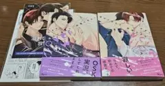 ⓐ小冊子付き／オーバーフロー