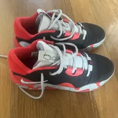 Nike PG6