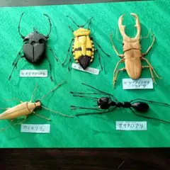 2025年最新】竹細工クワガタの人気アイテム - メルカリ