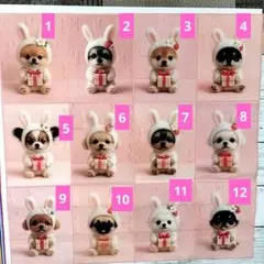 かわいい♡ヨーキー、チワワ、柴犬ちゃん　オーダー受付ページ