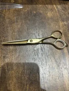 Item thumbnail for item 0bcb020d-8b84-422c-bdaa-fa2528dc9bb3