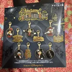 ディズニーシーチャーム２個入り