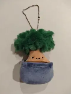 にっこりーノ 植物のぬいぐるみ　ぼんさい 盆栽　松　カプセルトイ　マスコット