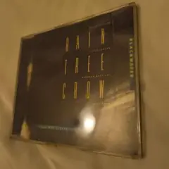RAIN TREE CROW シングル　　デヴィッドシルヴィアン