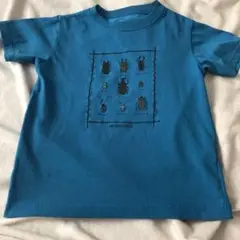 モンベル速乾Tシャツ昆虫キッズ甲虫カブトムシ