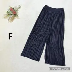 アースミュージックアンドエコロジー 【F】 ワイドパンツ プリーツ 光沢 紺色