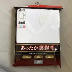 Item thumbnail for item 8e1e3da8-ca50-4631-990a-584931b83d85
