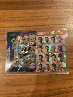 Item thumbnail for item 675888cc-2f14-49f4-af30-aa1bb7fc6030