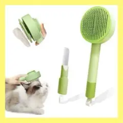 Item thumbnail for item 22732ddb-899a-4470-a46a-c0ce1a1c2501