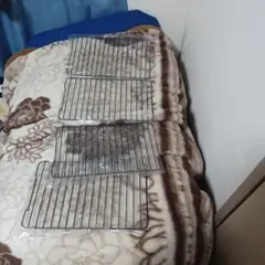 Item thumbnail for item 61831317-137c-48c4-ae75-0d8cdde3548a