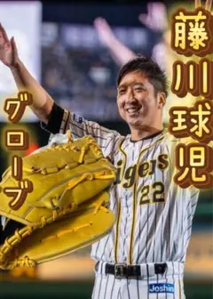 藤川球児　200セーブ達成記念モデル　グラブ Amazon | 阪神タイガース 藤川球児200セーブ記念モデル