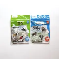 【匿名配送】セリア 知育玩具 ダイカットマグネット 昆虫 最強動物 ポスター