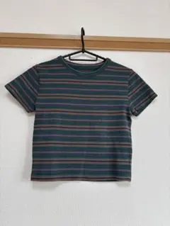 ストライプ 半袖Tシャツ　ショート丈