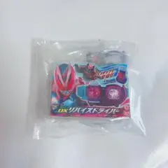 仮面ライダーリバイス ピンズコレクション