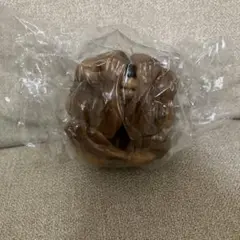 Item thumbnail for item 5a8a3acb-8b40-4ac1-b2d1-67d4354aa98b