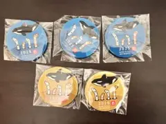 須磨シー　2025年 缶バッジ 5個セット
