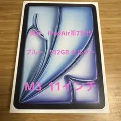 【美品】iPad Air第7世代 M3 512GB セルラー