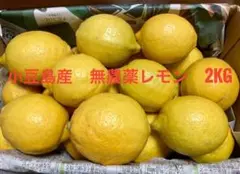 小豆島産 レモン 無農薬レモン 2kg